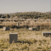 Garbet - Image 5